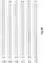Fig. 22 - Antibodies against PAK5