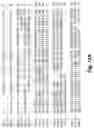 Fig. 67 - Antibodies against PAK5