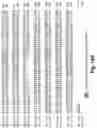Fig. 74 - Antibodies against PAK5
