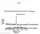 Fig. 09 - Diagnostic methods for asthma