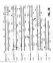 Fig. 07 - Serine proteases from-gram-positive microorganisms