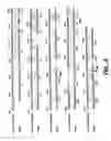 Fig. 08 - Serine proteases from-gram-positive microorganisms