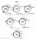 Fig. 02 - Process for producing n-acetylneuraminic acid