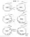 Fig. 02 - Catalyzing transglycosylation using a recombinant host cell overexpressing uridine phosphorylase and purine nucleoside phosphorylase