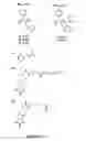 Fig. 03 - Covalently reactive transition state analogs and methods of use thereof