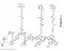Fig. 09 - Covalently reactive transition state analogs and methods of use thereof