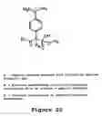 Fig. 22 - Covalently reactive transition state analogs and methods of use thereof