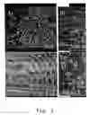 Fig. 04 - Cell culture incubating apparatus and method using the same
