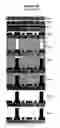 Fig. 11 - Hermetic wafer-level packaging for MEMS devices with low-temperature metallurgy