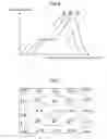 Fig. 05 - Display device and method for manufacturing the same