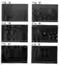 Fig. 06 - Semiconductor device and manufacturing method thereof