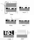 Fig. 03 - Probe arrays and method for making
