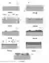 Fig. 05 - Probe arrays and method for making