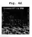 Fig. 10 - Method of forming bump pad of flip chip and structure thereof
