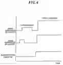 Fig. 05 - Plasma processing method and plasma processing apparatus