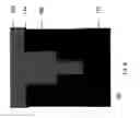 Fig. 07 - Method for making an opening for electrical contact by etch back profile control