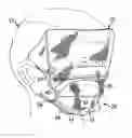 Fig. 01 - Odor control materials and face masks including odor control materials
