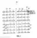 Fig. 02 - Method to optimize hierarchical modulation for a diversity system