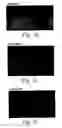 Fig. 04 - Methods of inhibiting and treating bacterial biofilms by metal chelators