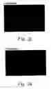 Fig. 05 - Methods of inhibiting and treating bacterial biofilms by metal chelators