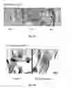 Fig. 05 - Use of relaxin as adjuvant in the differentiation of stem cells for the reconstruction of tissues