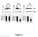 Fig. 05 - Compounds useful in inhibiting vascular leakage, inflammation and fibrosis and methods of making and using same