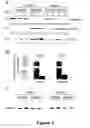 Fig. 08 - Compounds useful in inhibiting vascular leakage, inflammation and fibrosis and methods of making and using same