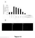 Fig. 13 - Compounds useful in inhibiting vascular leakage, inflammation and fibrosis and methods of making and using same