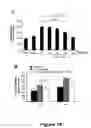 Fig. 20 - Compounds useful in inhibiting vascular leakage, inflammation and fibrosis and methods of making and using same