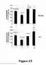 Fig. 23 - Compounds useful in inhibiting vascular leakage, inflammation and fibrosis and methods of making and using same