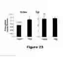Fig. 24 - Compounds useful in inhibiting vascular leakage, inflammation and fibrosis and methods of making and using same