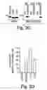 Fig. 06 - Anti-inflammatory compounds and uses thereof
