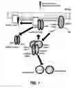 Fig. 02 - Alkyl peptide amides and applications