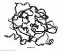Fig. 08 - Compounds and methods for treatment of thrombosis