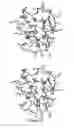 Fig. 10 - Compounds and methods for treatment of thrombosis