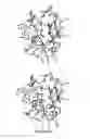 Fig. 11 - Compounds and methods for treatment of thrombosis