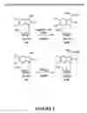 Fig. 06 - Indole antiviral compositions and methods