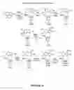 Fig. 17 - Indole antiviral compositions and methods