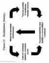 Fig. 12 - RNA interference mediated inhibition of interleukin and interleukin receptor gene expression using short interfering nucleic acid (SINA)