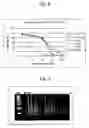 Fig. 07 - Composition for treating cancer containing n,n-dimethylphytosphingosine