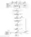 Fig. 02 - Process for preparation of chemically stable, dry-flow, low compact, dust free, soluble granules of phosphoroamidothioates
