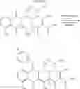Fig. 04 - 13-Substituted methacycline compounds