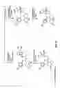 Fig. 04 - Structural modification of 19-norprogesterone I: 17-α-substituted-11-β-substituted-4-aryl and 21-substituted 19-norpregnadienedione as new antiprogestational agents