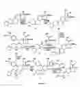 Fig. 05 - Structural modification of 19-norprogesterone I: 17-α-substituted-11-β-substituted-4-aryl and 21-substituted 19-norpregnadienedione as new antiprogestational agents