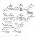 Fig. 09 - Structural modification of 19-norprogesterone I: 17-α-substituted-11-β-substituted-4-aryl and 21-substituted 19-norpregnadienedione as new antiprogestational agents
