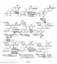 Fig. 10 - Structural modification of 19-norprogesterone I: 17-α-substituted-11-β-substituted-4-aryl and 21-substituted 19-norpregnadienedione as new antiprogestational agents
