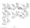 Fig. 13 - Structural modification of 19-norprogesterone I: 17-α-substituted-11-β-substituted-4-aryl and 21-substituted 19-norpregnadienedione as new antiprogestational agents