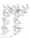 Fig. 14 - Structural modification of 19-norprogesterone I: 17-α-substituted-11-β-substituted-4-aryl and 21-substituted 19-norpregnadienedione as new antiprogestational agents