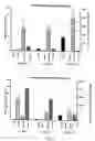 Fig. 07 - Therapeutic compounds