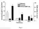 Fig. 08 - Therapeutic compounds